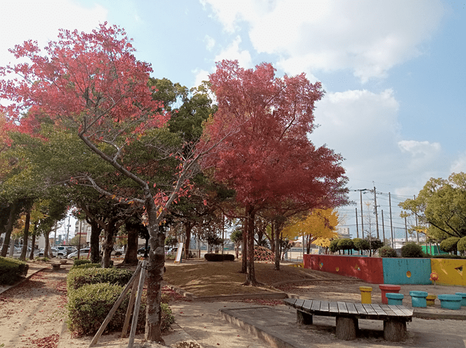 葉が赤くなっている木々と公園内の遊具の写真
