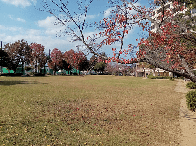 公園内の広場の写真