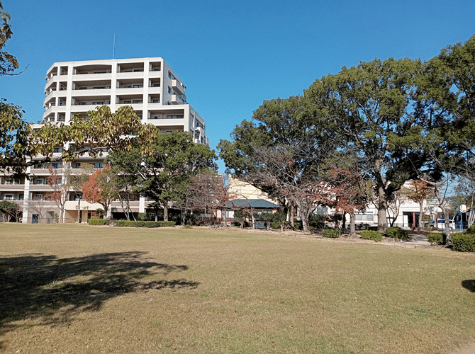 公園内の広場の写真2