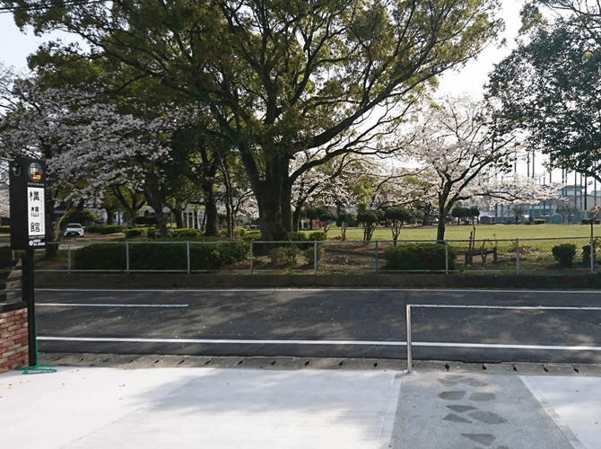 桜の花が咲いている公園の写真